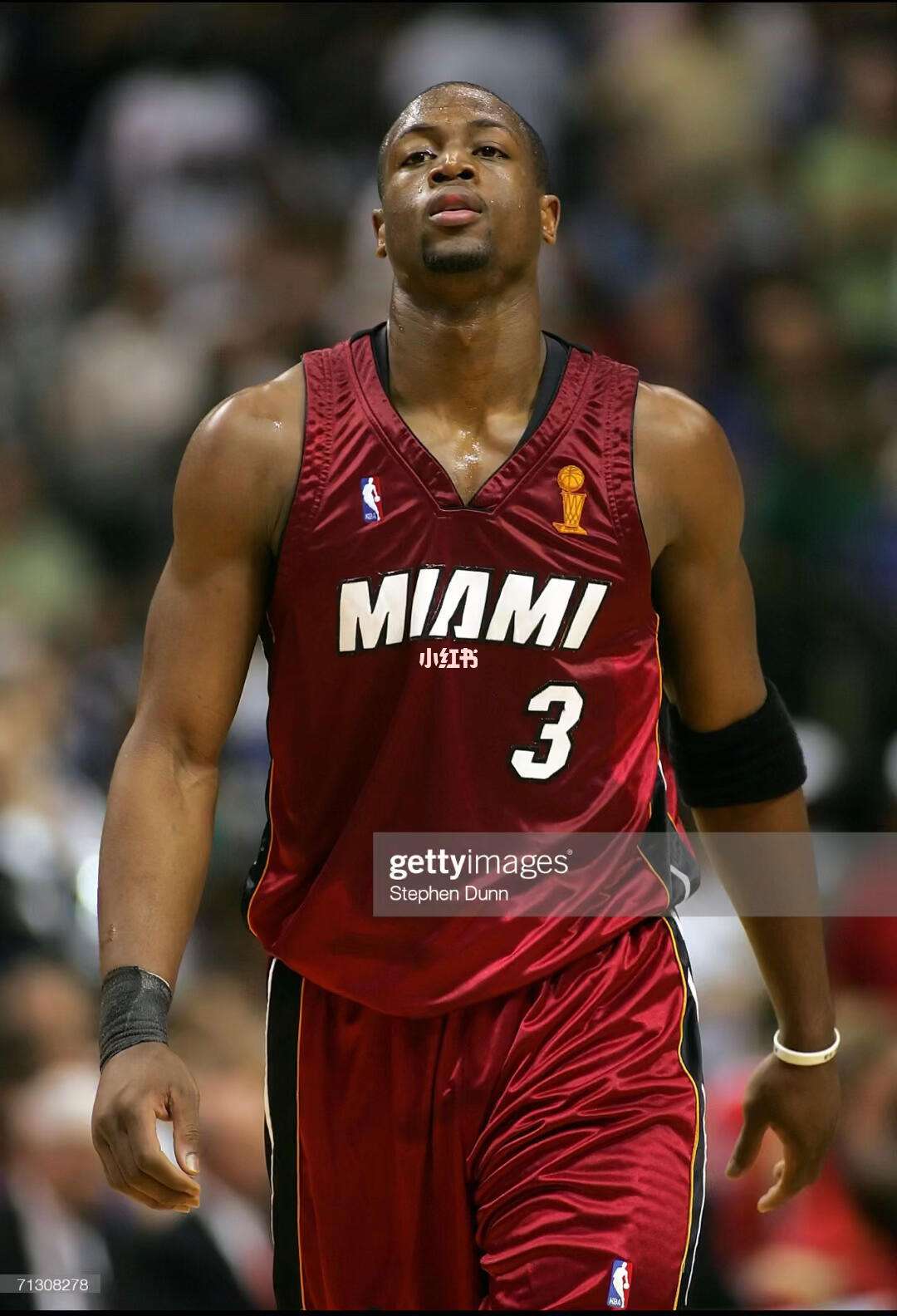 下注尺寸不 下注尺寸不